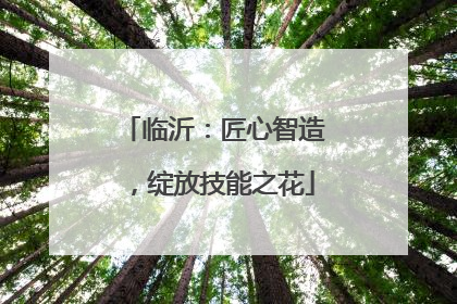 临沂：匠心智造，绽放技能之花