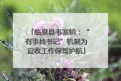 临泉县韦寨镇：“有事找书记”机制为夏收工作保驾护航