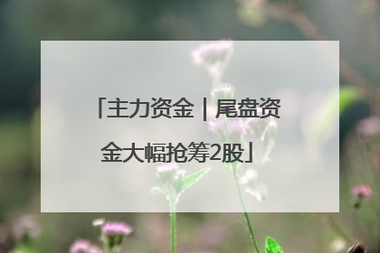 主力资金｜尾盘资金大幅抢筹2股