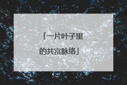一片叶子里的共富脉络