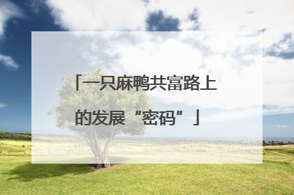 一只麻鸭共富路上的发展“密码”