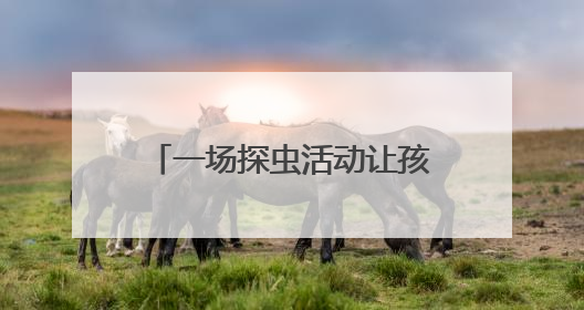 一场探虫活动让孩子念念不忘，自然课堂魅力何在？