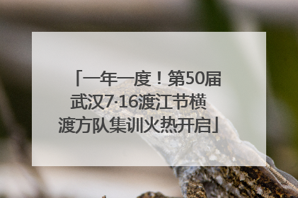 一年一度！第50届武汉7·16渡江节横渡方队集训火热开启