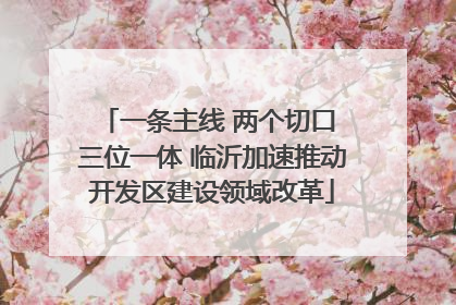 一条主线 两个切口 三位一体 临沂加速推动开发区建设领域改革