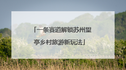 一条赛道解锁苏州望亭乡村旅游新玩法