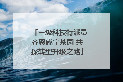 三级科技特派员齐聚咸宁茶园 共探转型升级之路