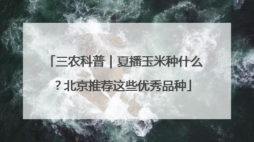 三农科普｜夏播玉米种什么？北京推荐这些优秀品种