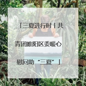 三夏进行时丨共青团睢阳区委暖心慰问助“三夏”