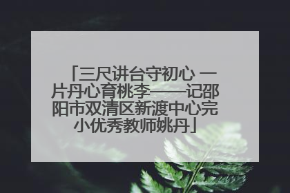 三尺讲台守初心 一片丹心育桃李——记邵阳市双清区新渡中心完小优秀教师姚丹
