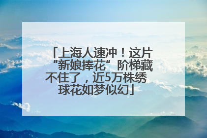 上海人速冲！这片“新娘捧花”阶梯藏不住了，近5万株绣球花如梦似幻