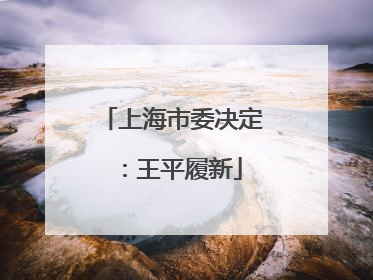 上海市委决定：王平履新