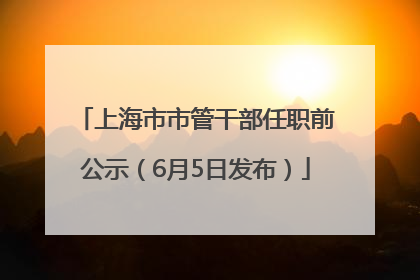 上海市市管干部任职前公示（6月5日发布）