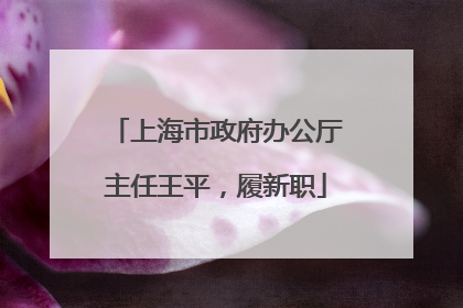 上海市政府办公厅主任王平，履新职