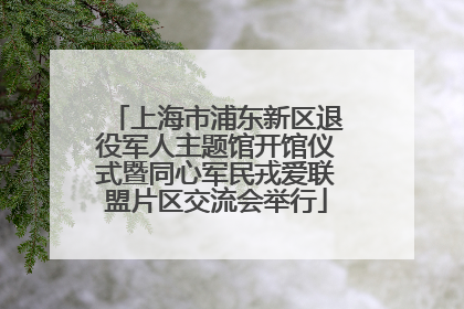 上海市浦东新区退役军人主题馆开馆仪式暨同心军民戎爱联盟片区交流会举行
