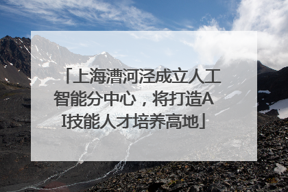 上海漕河泾成立人工智能分中心，将打造AI技能人才培养高地