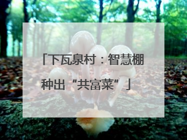 下瓦泉村：智慧棚种出“共富菜”