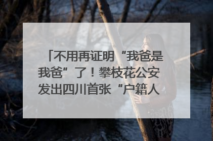不用再证明“我爸是我爸”了！攀枝花公安发出四川首张“户籍人口直系亲属关系谱”