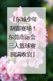 东城少年制霸赛场！东莞市运会三人篮球赛圆满收官