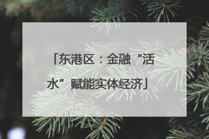 东港区：金融“活水”赋能实体经济