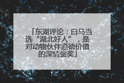 东湖评论：白马当选“湖北好人”，是对动物伙伴道德价值的深情褒奖