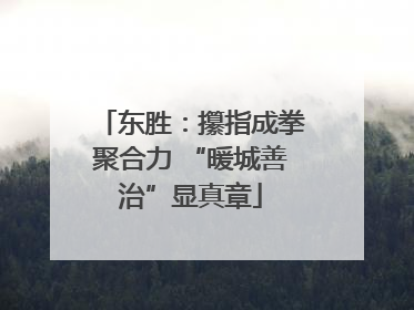 东胜：攥指成拳聚合力 “暖城善治”显真章