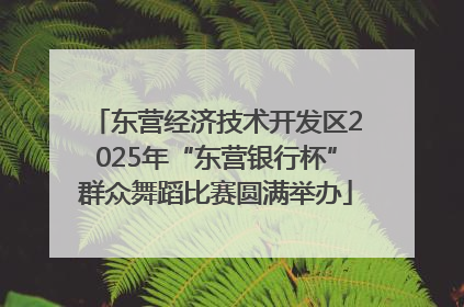 东营经济技术开发区2025年“东营银行杯”群众舞蹈比赛圆满举办
