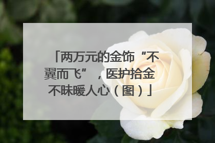 两万元的金饰“不翼而飞”，医护拾金不昧暖人心（图）