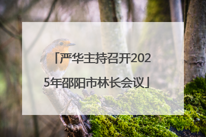 严华主持召开2025年邵阳市林长会议