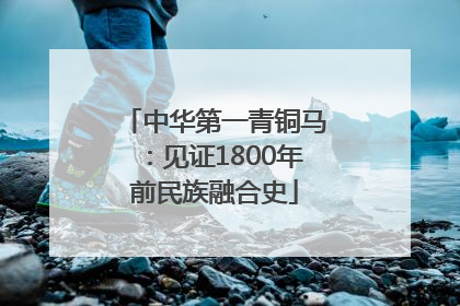 中华第一青铜马：见证1800年前民族融合史