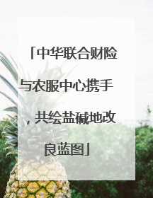 中华联合财险与农服中心携手，共绘盐碱地改良蓝图