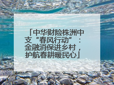 中华财险株洲中支“春风行动”：金融消保进乡村，护航春耕暖民心
