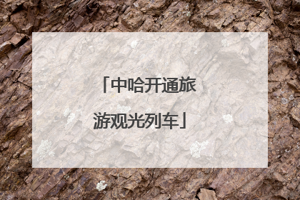 中哈开通旅游观光列车