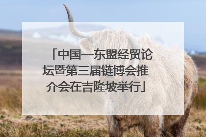 中国—东盟经贸论坛暨第三届链博会推介会在吉隆坡举行