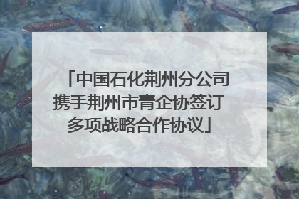 中国石化荆州分公司携手荆州市青企协签订多项战略合作协议