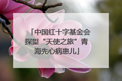 中国红十字基金会探望“天使之旅”青海先心病患儿