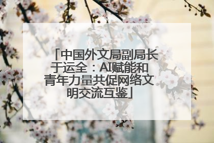 中国外文局副局长于运全：AI赋能和青年力量共促网络文明交流互鉴