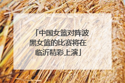 中国女篮对阵波黑女篮的比赛将在临沂精彩上演