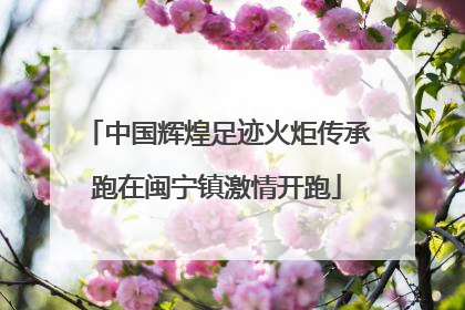中国辉煌足迹火炬传承跑在闽宁镇激情开跑