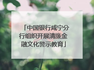 中国银行咸宁分行组织开展清廉金融文化警示教育