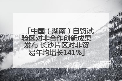 中国（湖南）自贸试验区对非合作创新成果发布 长沙片区对非贸易年均增长141%