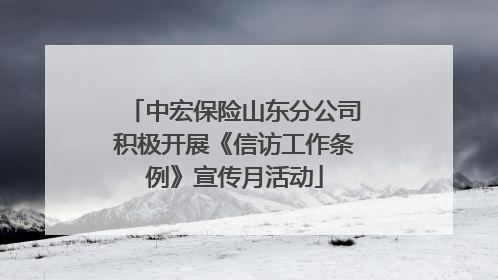 中宏保险山东分公司积极开展《信访工作条例》宣传月活动