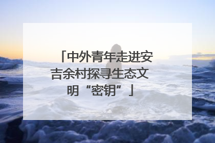 中外青年走进安吉余村探寻生态文明“密钥”