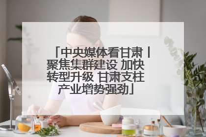 中央媒体看甘肃丨聚焦集群建设 加快转型升级 甘肃支柱产业增势强劲