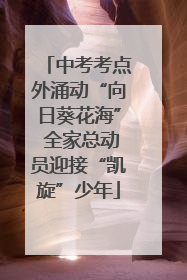 中考考点外涌动“向日葵花海” 全家总动员迎接“凯旋”少年