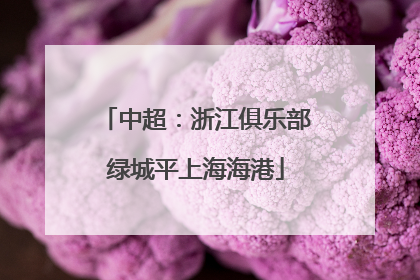 中超：浙江俱乐部绿城平上海海港