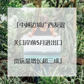 中越边境广西友谊关口岸前5月进出口货运量增长超三成
