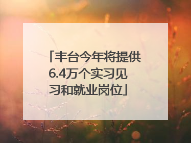 丰台今年将提供6.4万个实习见习和就业岗位