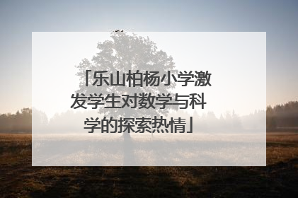 乐山柏杨小学激发学生对数学与科学的探索热情
