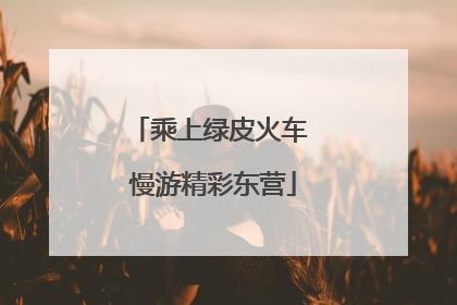 乘上绿皮火车 慢游精彩东营