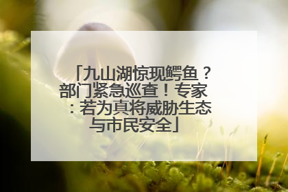 九山湖惊现鳄鱼？部门紧急巡查！专家：若为真将威胁生态与市民安全